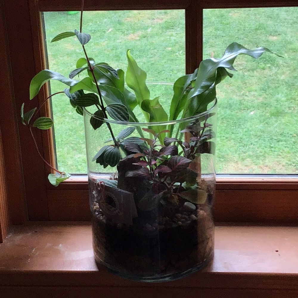 Meet your Posher, Courtney